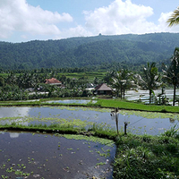 Photo de Bali - Banjar et Gitgit